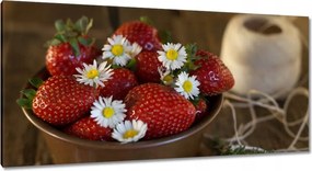 Festmények 115x55 Konyhai képek Forradalmak