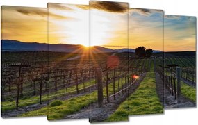 Festmények 100x60 Szőlőbirtok Tájkép