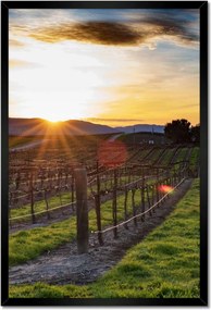 Poszterek keretben 40x60 Szőlőbirtok Tájkép