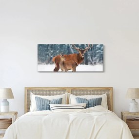 Kép egy szarvasról és őzikéről (120x50 cm)