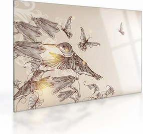 Kép - Kolibri (üvegen) (70x50 cm)