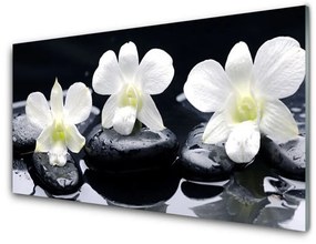 Akrilkép Orchid Plant Stones 100x50 cm 2 fogas