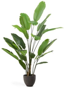 Banánfa műnövény (magasság 210 cm) – Kave Home