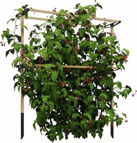 Outsunny fém bogyótámasz málna, szeder és áfonya számára — rugalmas, bővíthető támogatás kertbe és teraszra | Aosom