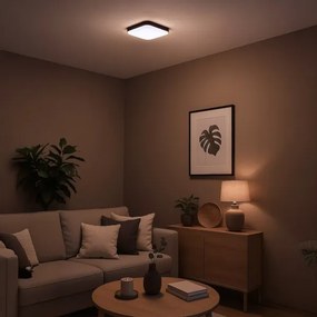 LED mennyezeti lámpa NEMO LED/11W/230V 26x26 cm fekete