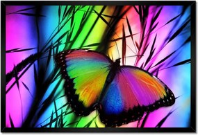 Poszter keretben 60x40 Szivárvány pillangó