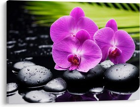 Kép - Orchideák (70x50 cm)