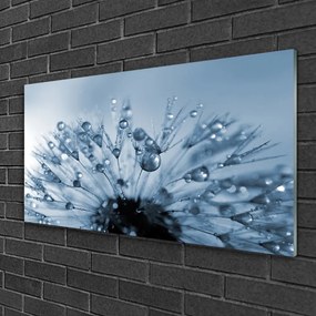 Modern üvegkép Gyermekláncfű virág Csepp 125x50 cm