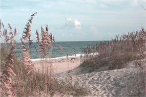 Kép - Rózsaszín strand (90x60 cm)