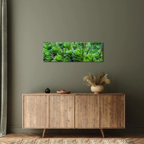 A pozsgás növények képe (órával) (90x30 cm)