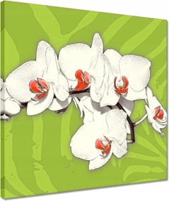 Vászonkép 40x40 Lime és orchidea