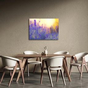 Kép - Levendula (70x50 cm)