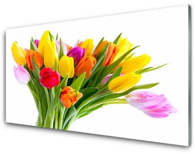 Akrilüveg fotó Tulipán virágok Plant 100x50 cm