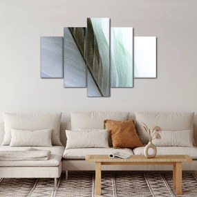 Kép - Tollak, makro (150x105 cm)