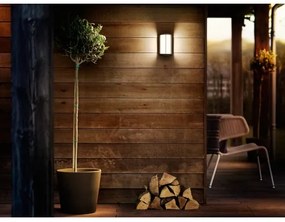 Philips - LED Kültéri fali lámpa REESE LED/4,3W/230V 2700K IP44