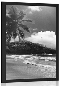 Poszter strand a Seychelle-szigetek fekete-fehérben