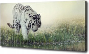 Nagyméretű vászonkép Fehér tigris 120x60 cm