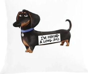 Párna párnahuzat nyomott mintás tacskó kutya