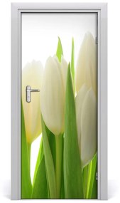 Ajtó méretű poszter fehér tulipán 95x205 cm