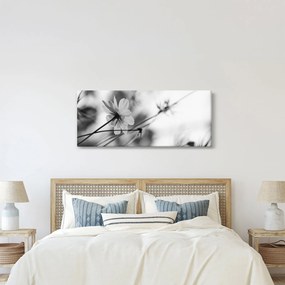 Kép - Fekete-fehér virágok (120x50 cm)