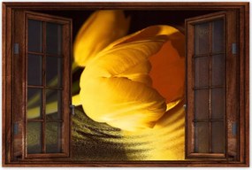 Poszterek 120x80 Sárga-arany tulipán