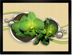 Poszterek keretben 40x30 Zöld orchidea