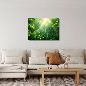 Üveg kép - Esőerdő (70x50 cm)