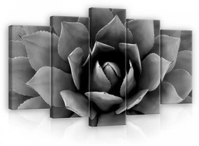Vászonkép 5 darabos, Rózsabimbó fekete-fehérben 100x60 cm méretben