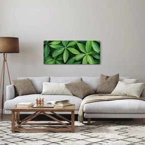 Kép - Levelek harmatcseppekkel (120x50 cm)