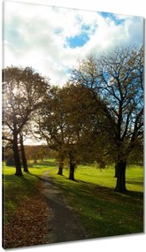 Festmények 80x120 Őszi tájkép