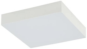Lid