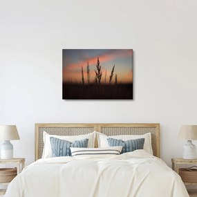 Kép - A növény sziluettje (70x50 cm)