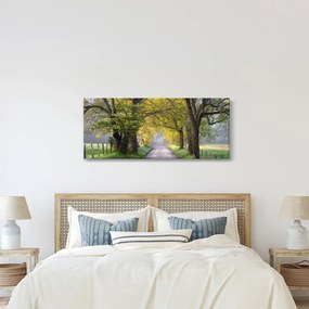 Kép - Smoky, hegység, Gatlinburg, USA (120x50 cm)