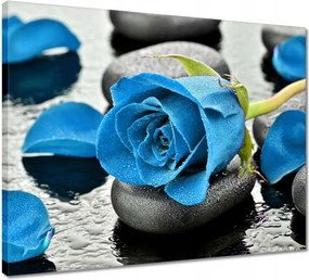 Vászonkép 50x40 Kék rózsa kövek