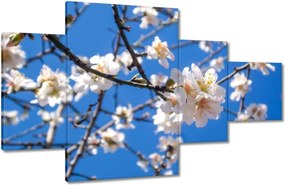 Vászonkép 130x80 Almafa virág