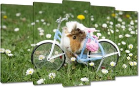 Vászonkép 100x60 Tengerimalac a réten