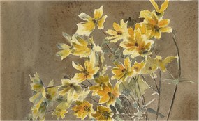 Dekoratív Fotótapéta Hálószobába Napsütötte csokor 416x254