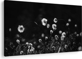 Kép - Gyapotfűvel borított rét N⁰1 (90x60 cm)