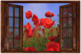 Poszterek 90x60 Pipacsok az égbolt hátterében