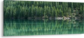 Kép - Tűlevelű a tónál (120x50 cm)