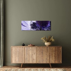 Kép - Ibolya virág (órával) (90x30 cm)