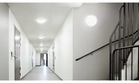 Steinel 079710 - KÉSZLET 5x LED Lámpa érzékelővel RS PRO S30 SC 25,7W/230V 4000K