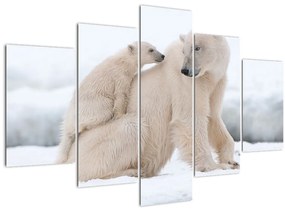 Kép - Jegesmedvék (150x105 cm)