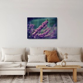 Lila virág képe (üvegen) (70x50 cm)