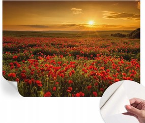 Öntapadós Dekoratív Fotótapéta Hálószobába Pipacs mező 312x219 cm