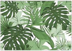Poszterek 100x70 Monstera Modern minta