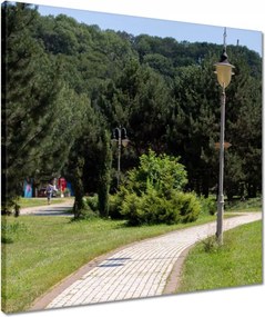 Vászonkép 50x50 Zöld park fákkal