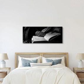 Kép - Könyv (120x50 cm)