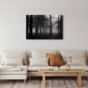 Kép - erdő a ködben (90x60 cm)