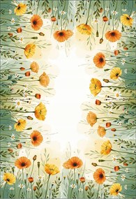 Abrosz réti pipacsok 30x45